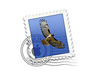 Mail Help