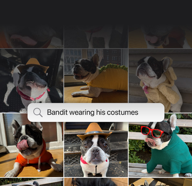 Demostración de la búsqueda con lenguaje natural en Fotos. Búsqueda en la app Fotos con resultados a partir de una frase en la que se solicitan fotos de un perro llamado 'Bandit usando disfraces'