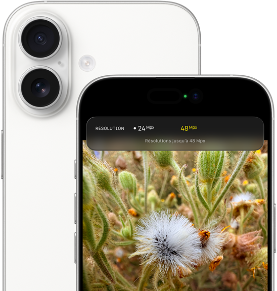 iPhone 17, face arrière, coins arrondis, système à deux caméras Fusion dans le coin supérieur gauche, blanc, face avant, Dynamic Island, coins arrondis