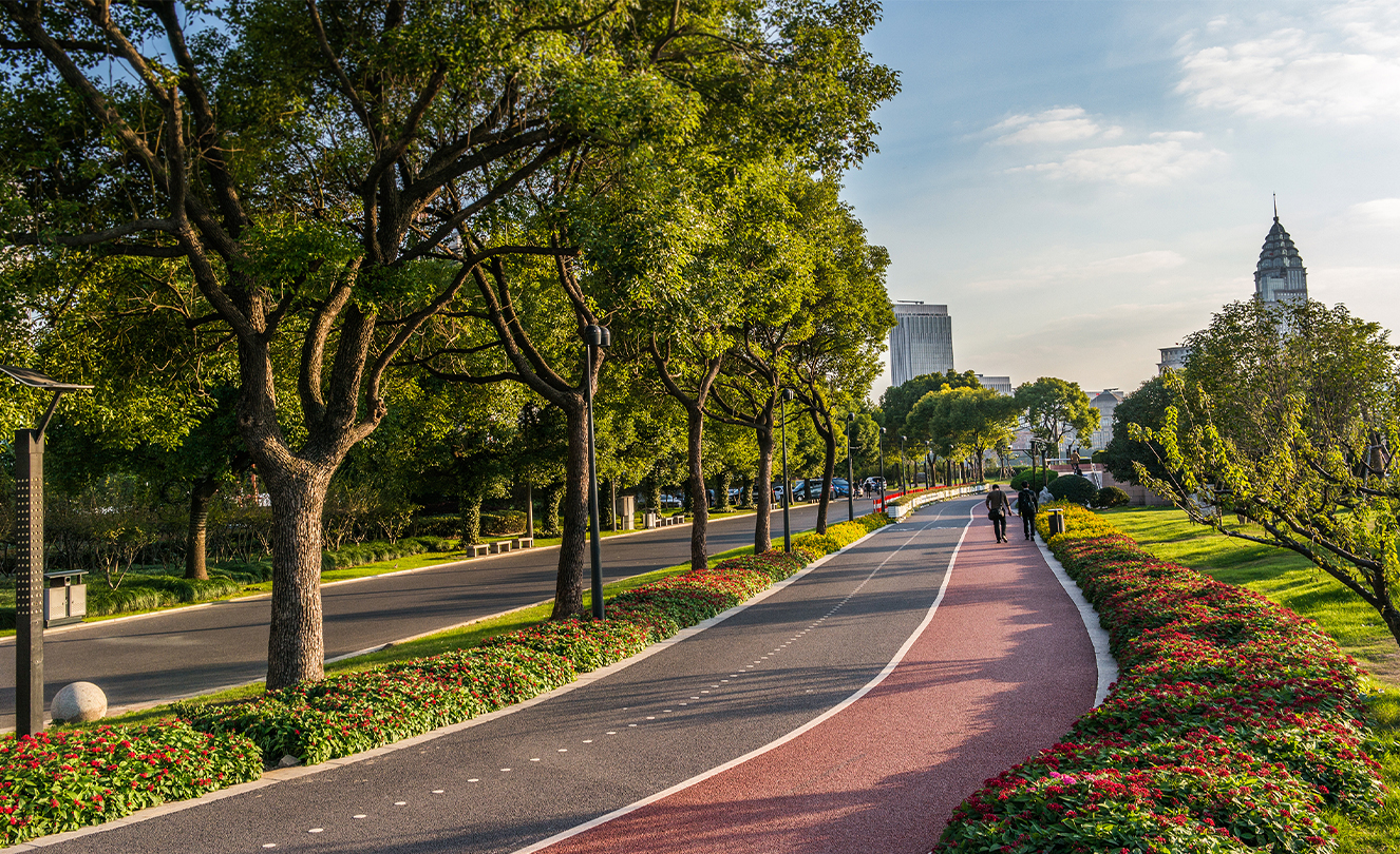 Uma ciclovia e uma faixa para peões alinhadas com árvores em Xangai.