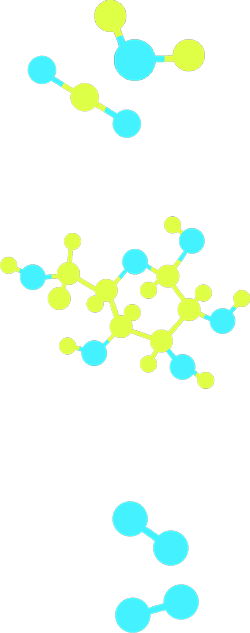  Five molecular models, one each representing carbon dioxide, water and glucose and two representing oxygen.