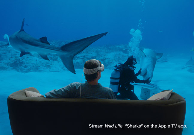 Apple Vision Pro user watches an Apple Immersive Video of a scuba divers swimming with sharks, bottom corner text reads: Stream Wild Life: Sharks on Apple TV+ app