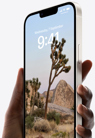 A hand holding iPhone 14 in Starlight with a personalized Lock Screen featuring a desert tree and the time