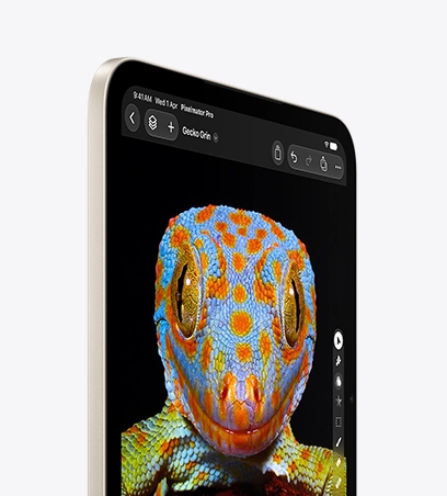 星光色 iPad mini 的正面圖，螢幕顯示守宮的特寫照，展示像素級別的亮度控制，色彩豐富精準，動態範圍更細緻。