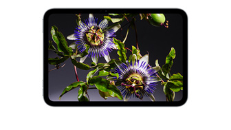 iPad mini elölnézetből, a kijelzőn élénk kép egy narancssárga szobában narancssárga széken ülő narancssárga öltönyös emberről.