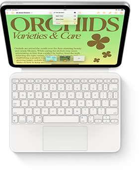 Tampak dari atas iPad dengan Magic Keyboard Folio berwarna putih.