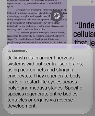 A screenshot of Image Search being used to summarise a few paragraphs of an article about jellyfish biology