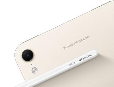 iPad 라이트 골드 색상의 후면 카메라가 보이는 뒷면과 Apple Pencil Pro에 각각 새겨진 각인이 보입니다.