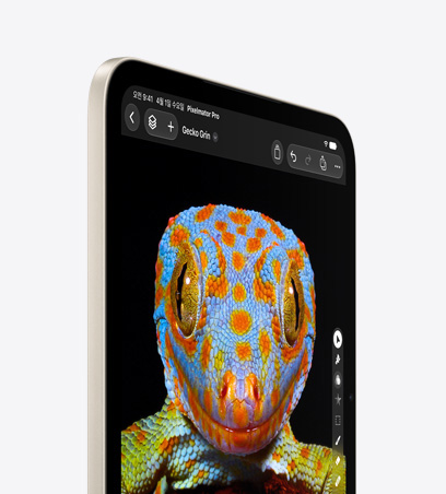 iPad mini 스타라이트 색상의 앞면. 어두운 배경과 회색 관두루미 옆모습의 클로즈업 이미지가 표시되어 있습니다. 검은색, 흰색, 노란색 깃털과 붉은 얼굴과 부리, 눈 주위의 검은색 깃털이 보입니다.