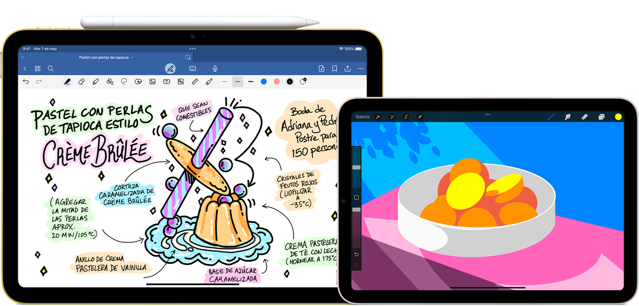 A la izquierda, un iPad de décima generación en posición horizontal muestra un trabajo gráfico con notas y un dibujo, y tiene un Apple Pencil USB-C adherido arriba. A la derecha, un iPad Mini en posición horizontal muestra una ilustración colorida realizada con ProCreate.