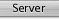 Server