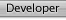 Developer