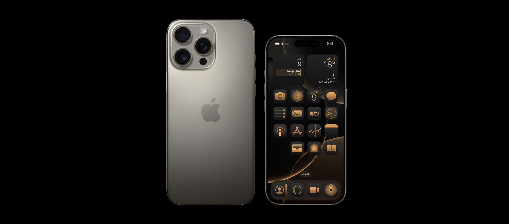 صورة للجهة الأمامية من iPhone&nbsp;16&nbsp;Pro&nbsp;Max مقاس 6.9&nbsp;إنش وصورة للجهة الخلفية من iPhone&nbsp;16&nbsp;Pro مقاس 6.3&nbsp;إنش من تيتانيوم طبيعي