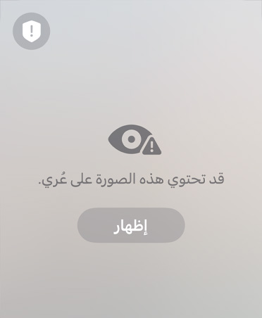 رسالة تم إنشاؤها تلقائياً لأحد الوالدين عن المحتوى الحساس وغير الآمن الذي قد يشاهده طفله في مكالمة فيديو، مع خيارين هما Resume Audio and Video أو End Call