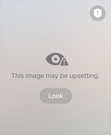Auto-generated message to parent about the sensitive and unsafe content their child may be viewing on a FaceTime call, with options to Resume Audio and Video or End Call