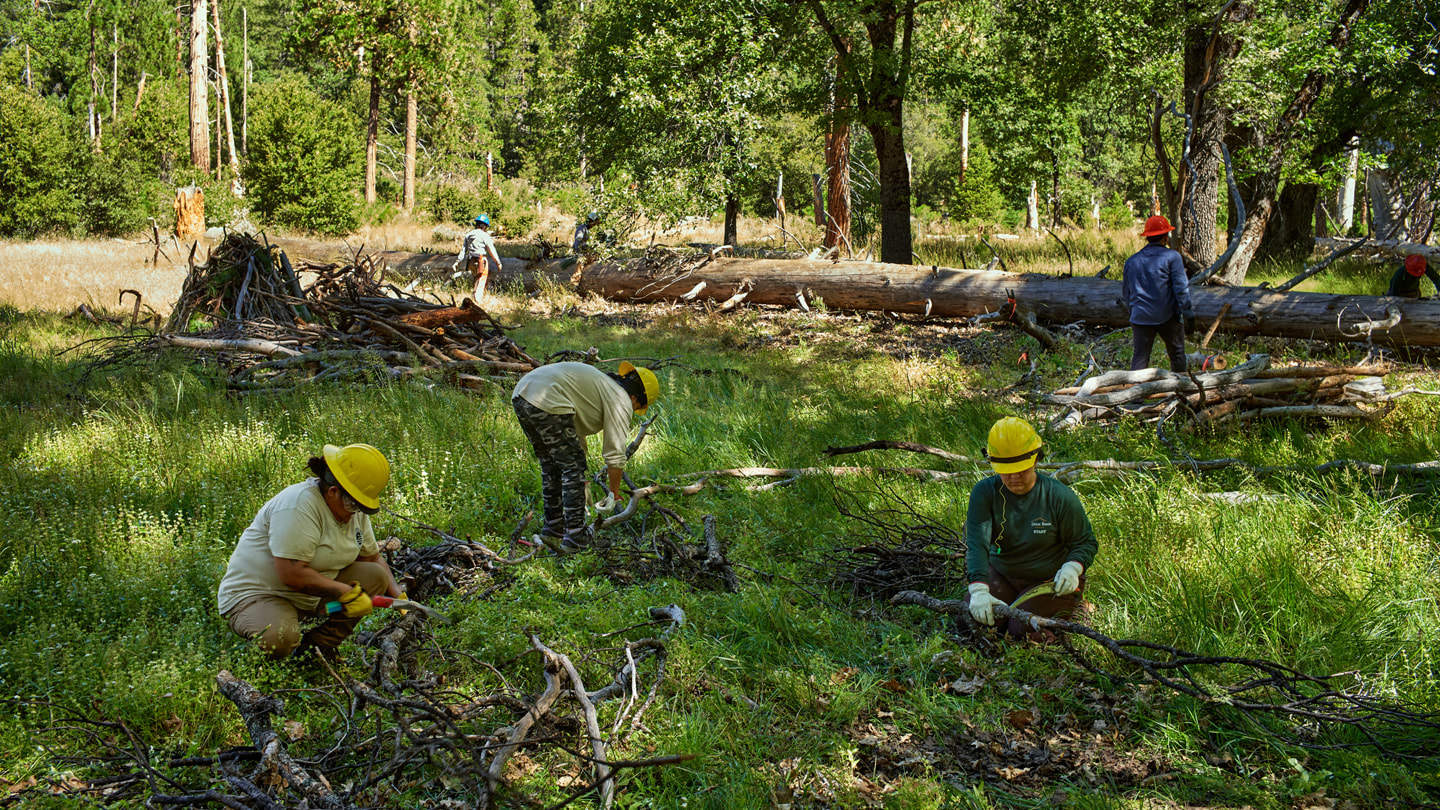 Multiple crew members are shown sawing and carrying tree branches and limbs.