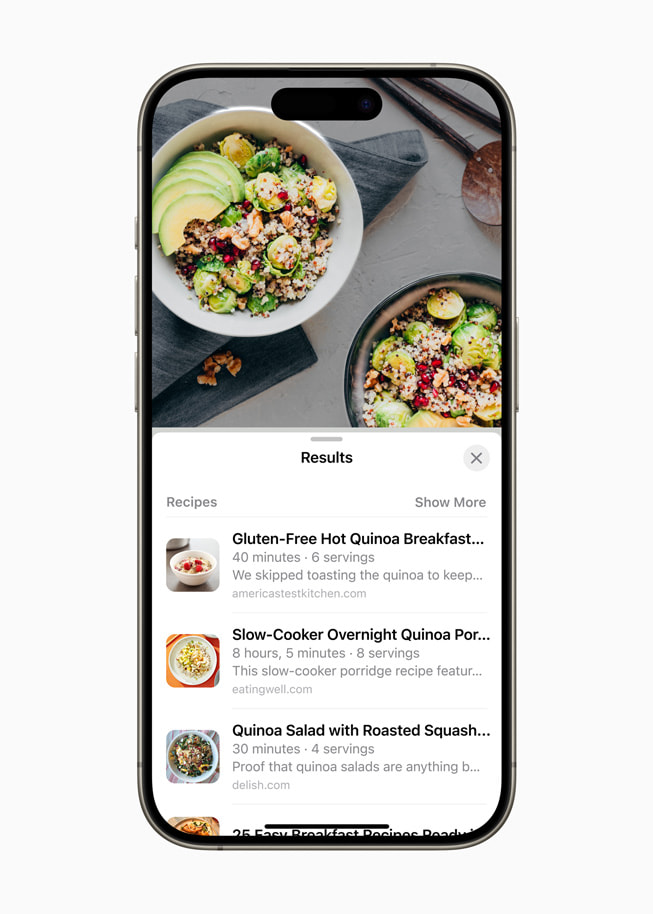 Visuel søgning vist på iPhone 15 Pro.