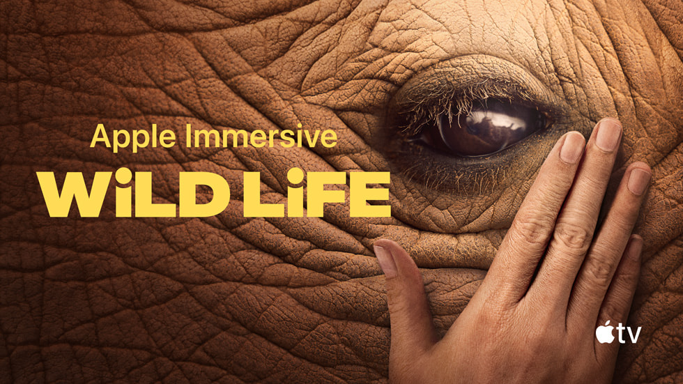 Artwork for Wild Life, an Apple Immersive Video.