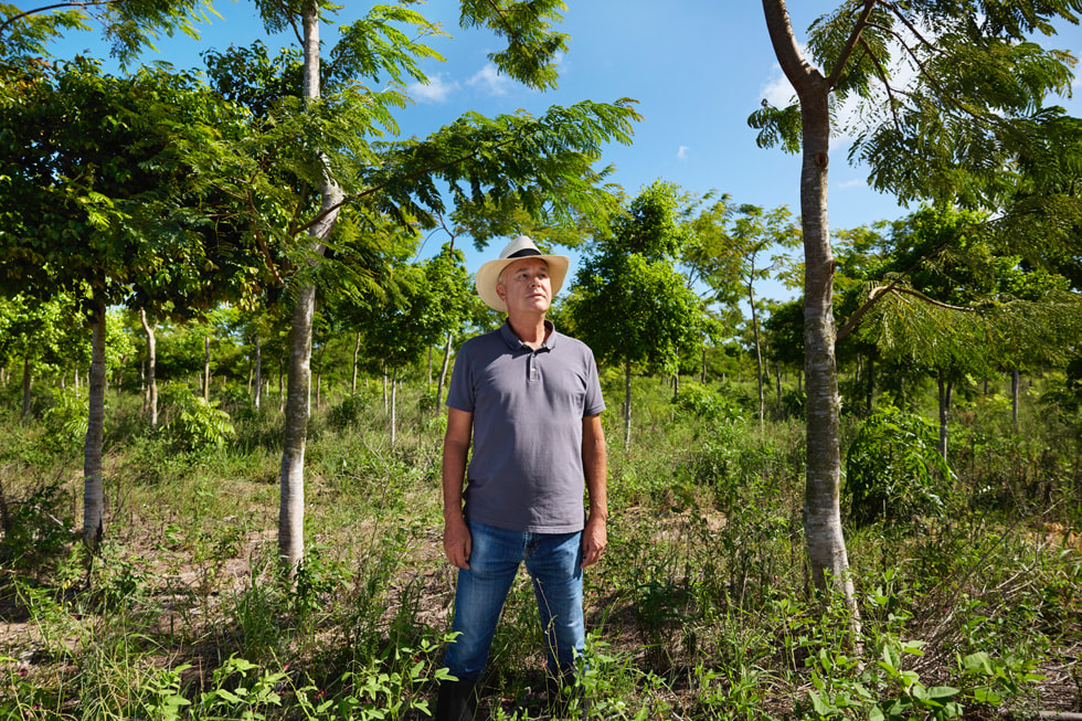 Bruno Mariani stands in the Atlantic Forest.