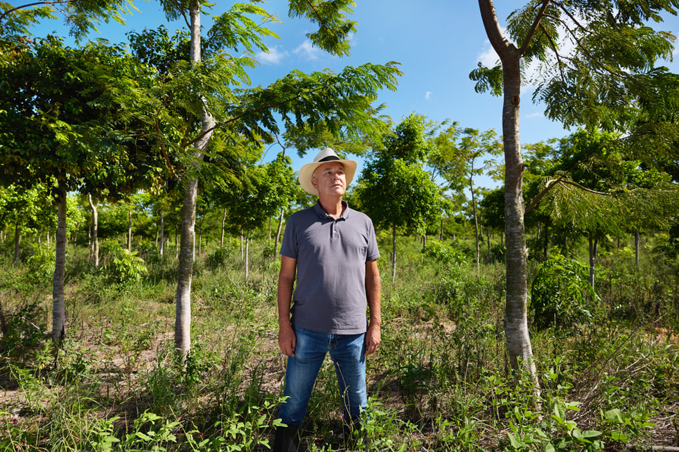 Bruno Mariani de pie en el bosque Atlántico.