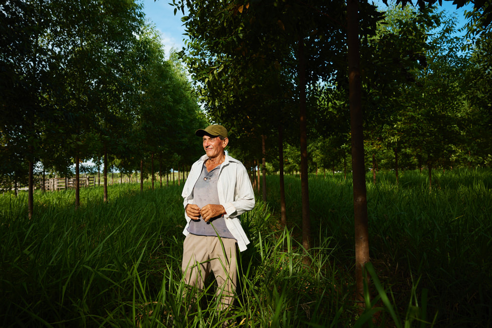 Serafino Gonzalez na grama alta entre uma fileira de árvores.