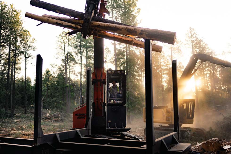 A crane lifts large logs in a forest in Arizona’s Colorado River Basin.