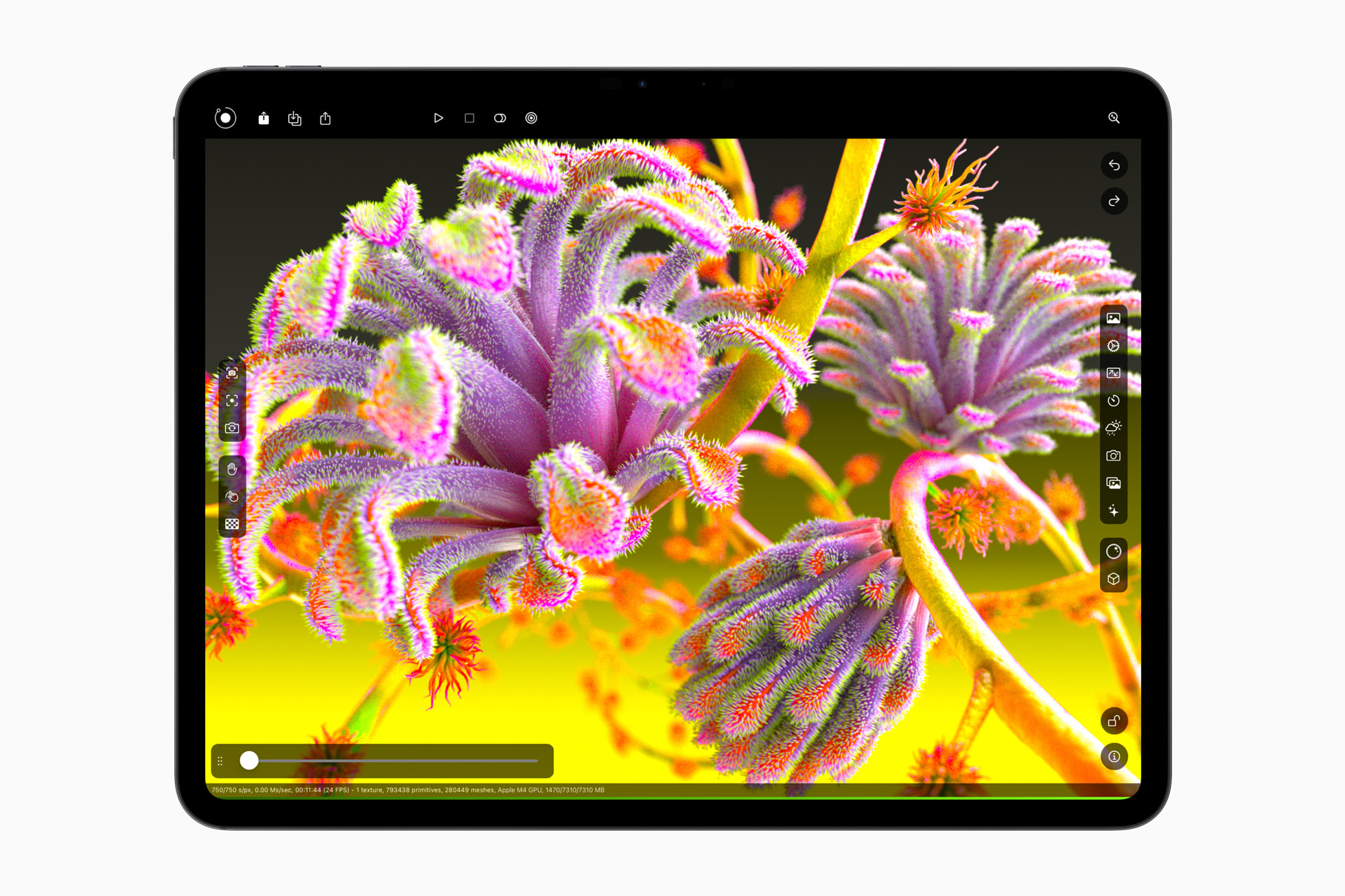 Apple iPad Pro (2024 Model)