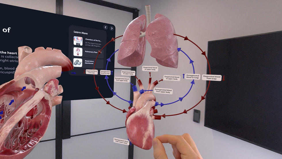 Una imagen de Apple Vision Pro utilizada para proporcionar imágenes médicas en 3D.