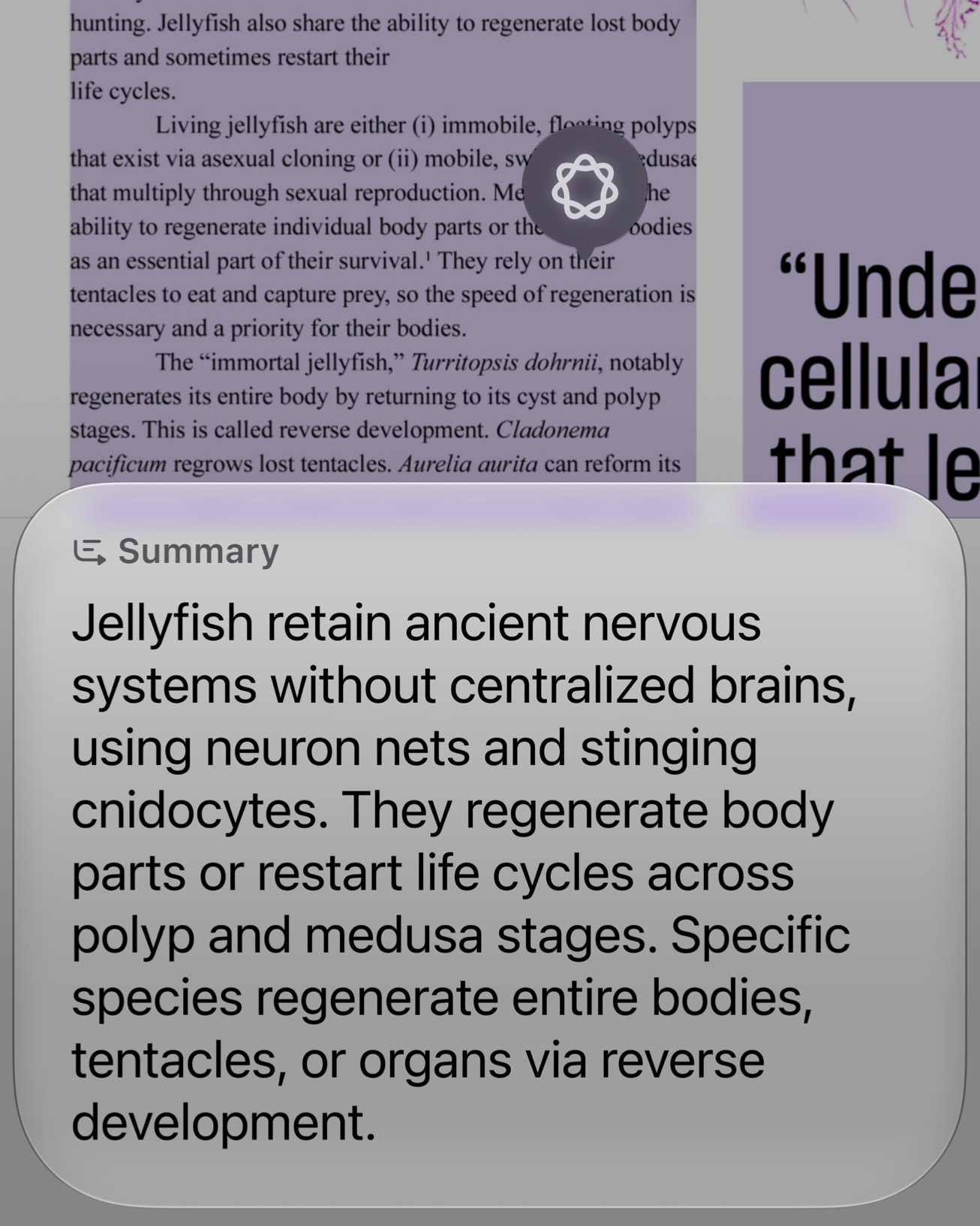 Siri AI answers questions about the content on a user's screen.