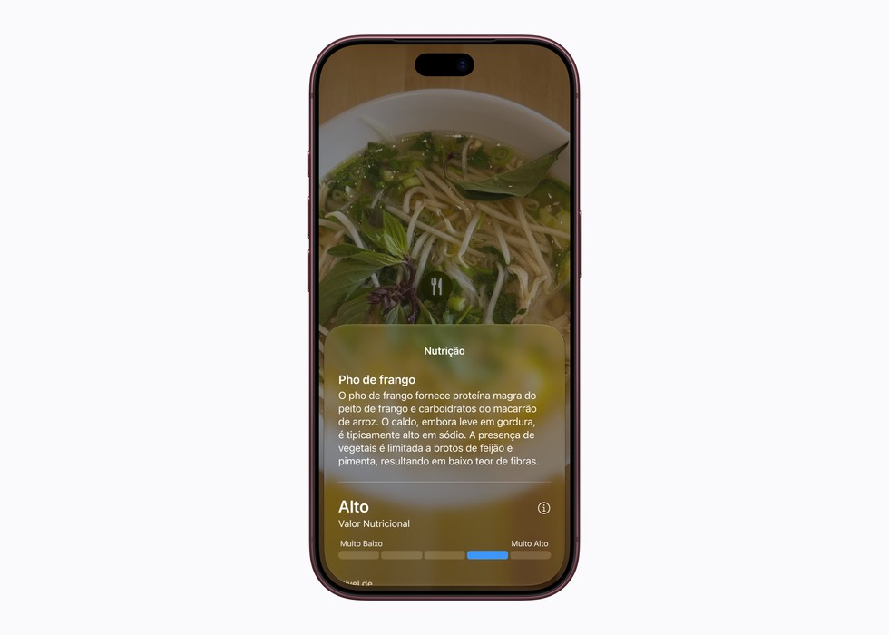 Uma pessoa usa o modo Siri no iPhone para obter informações sobre uma imagem.