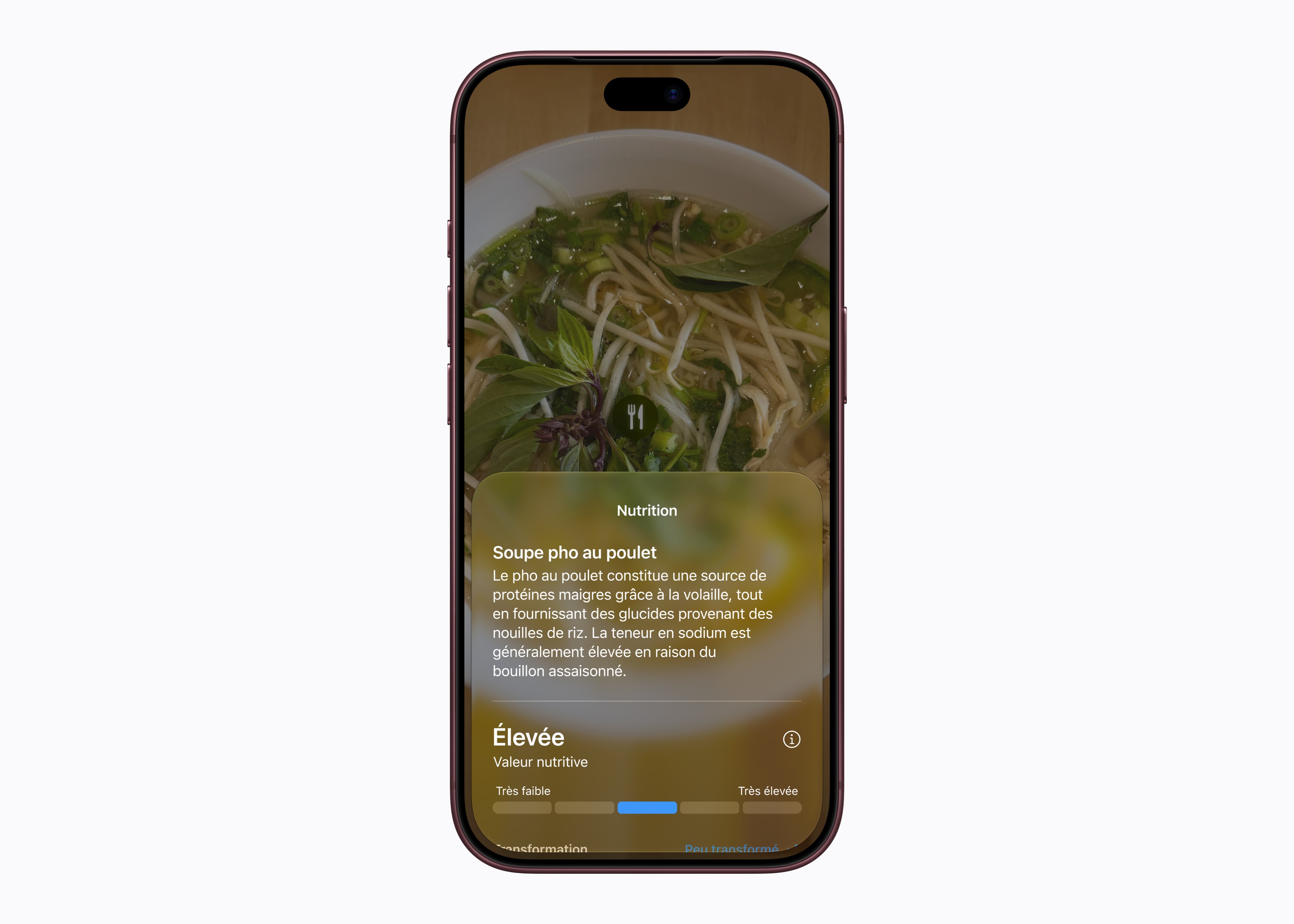 Une personne utilise le mode Siri sur iPhone pour obtenir des renseignements sur une image.