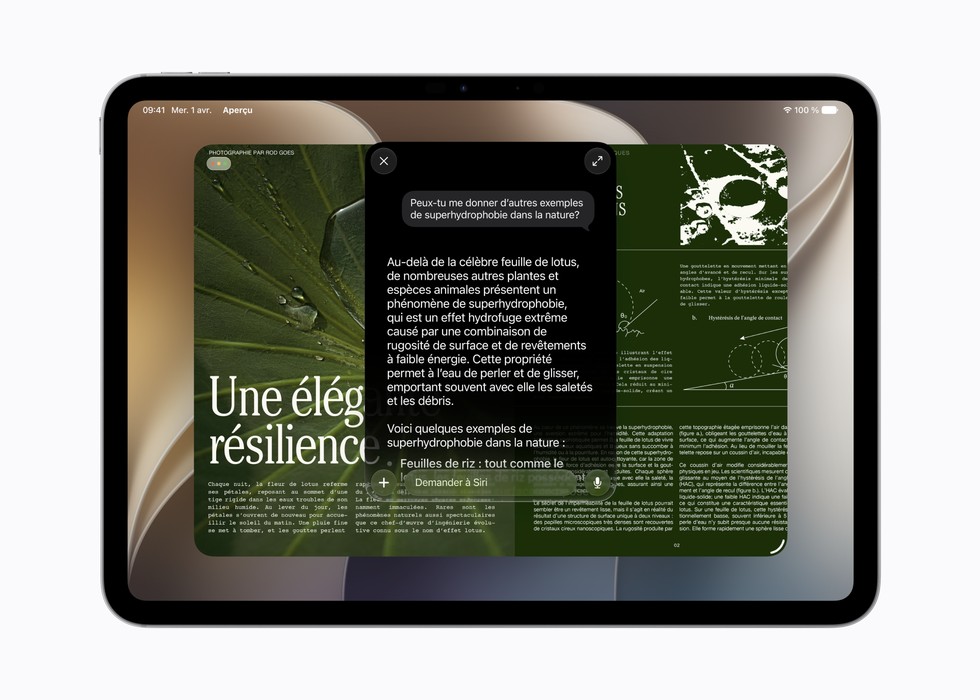 Une personne utilise Siri AI pour poser une question sur le contenu à l’écran.