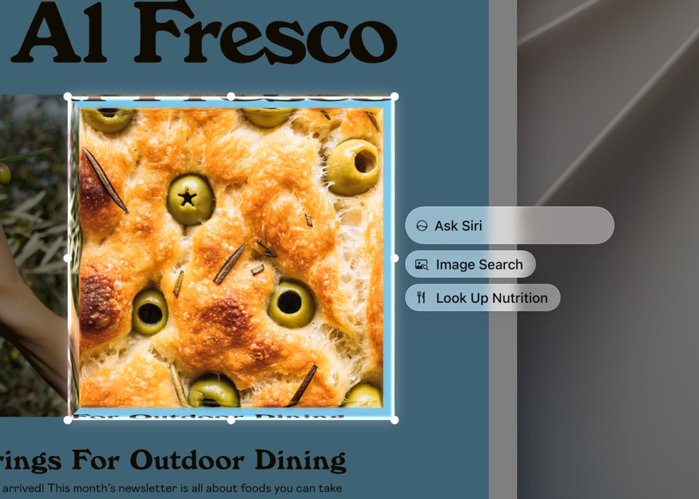 A user selects part of an image on their display and employs Siri AI to gather more information about it.