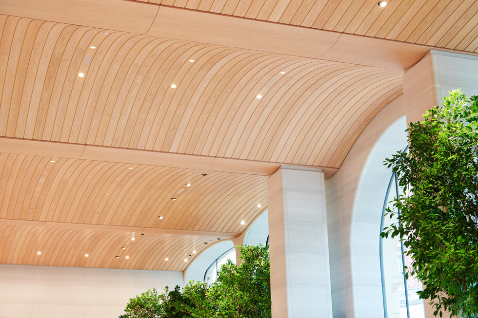 The curved timber ceiling is shown inside Apple Brompton Road in London.