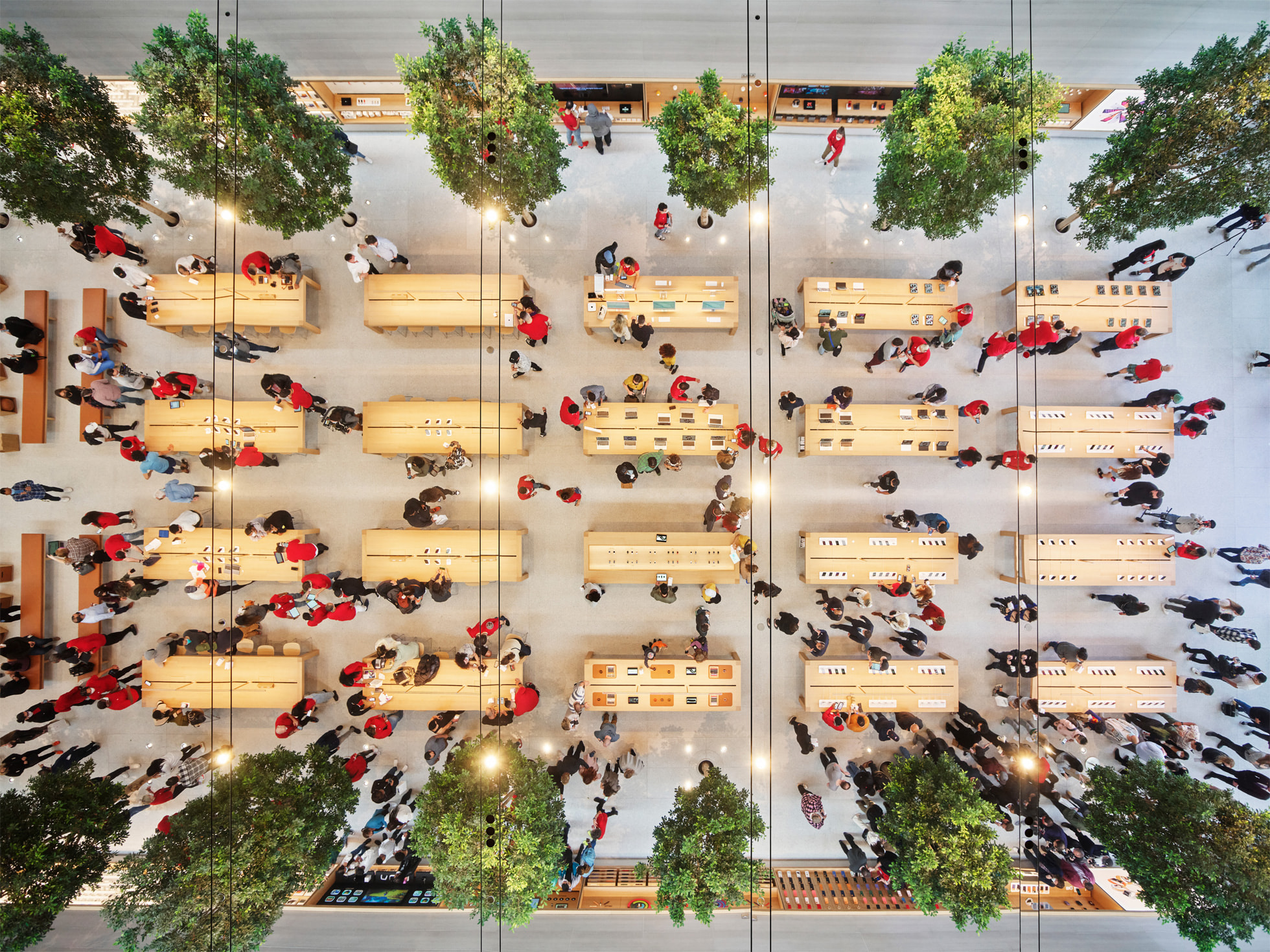 The reimagined Apple The Grove now open in Los Angeles Apple