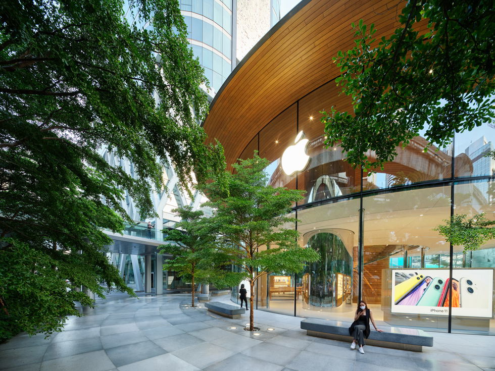 Tropiska mandelträd på utomhustorget i Apple Central World. 