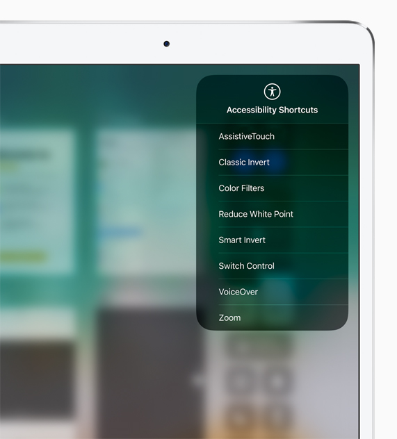 Accessibility Shortcuts menu on iPad.