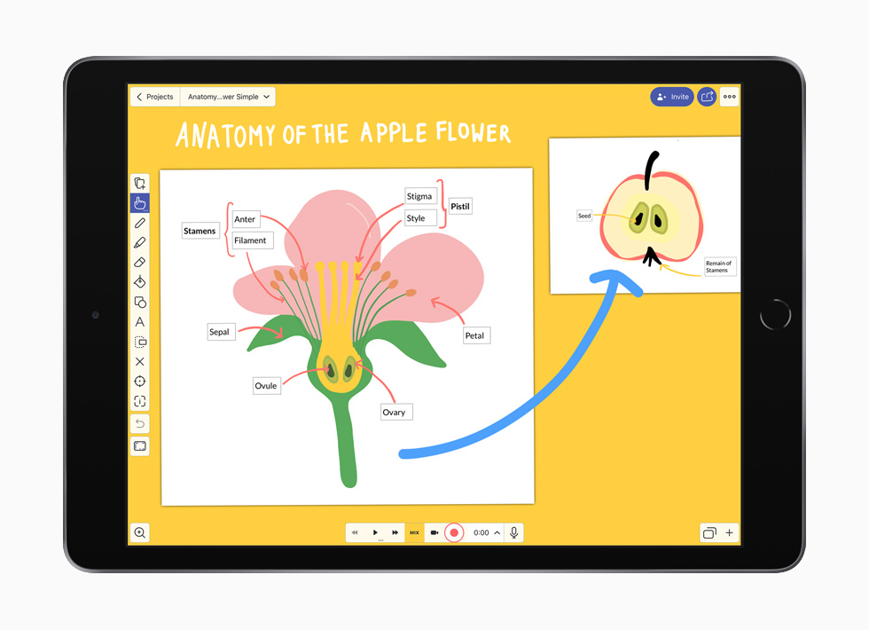 L'app Explain Everything Whiteboard sur iPad.