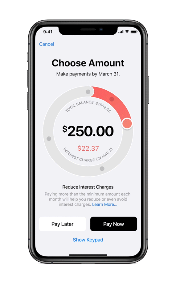 Animated image of iPhone showing payment options screen.