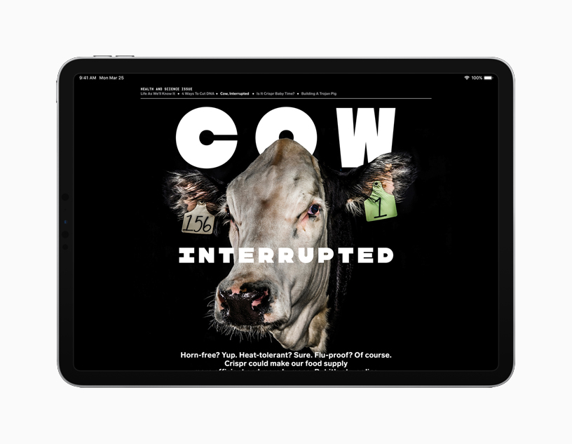 iPad showing Cow Interrupted article.