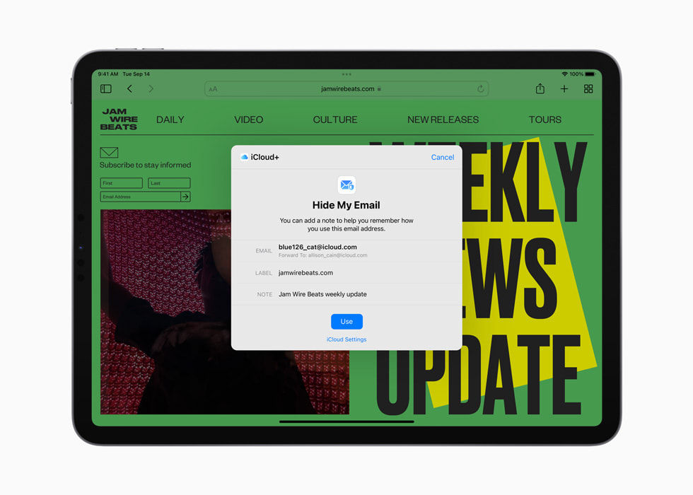 The iCloud+ Hide My Email feature on iPad Pro.