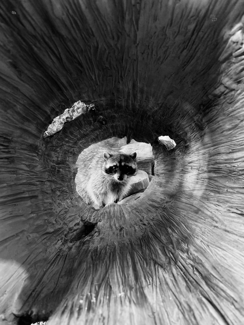 Apple Highlights Best Photos Shot On Iphone Around The World Apple Apple Highlights Best Photos Shot On Iphone Around The World Apple