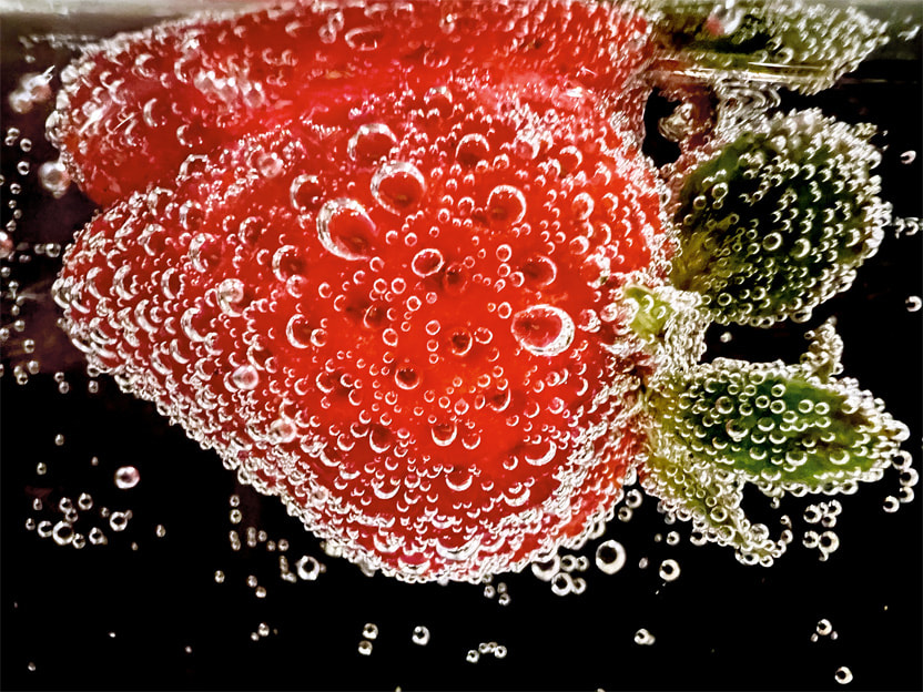 Apple unveils the best photos from the Shot on iPhone Macro Challenge - Apple