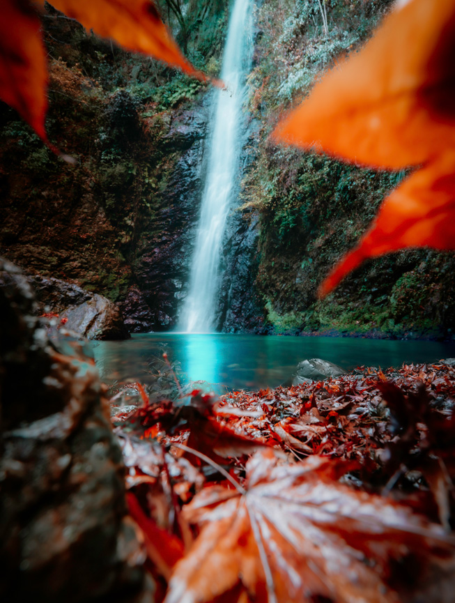 Red leaves in the foreground frame a distant waterfall.