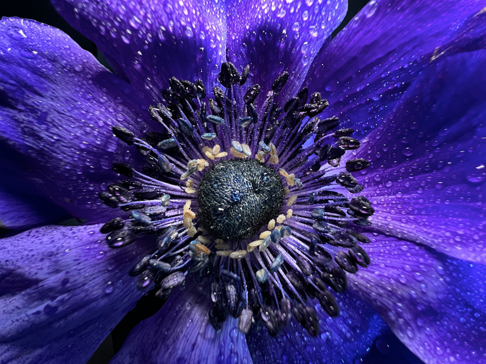 A photo shot in macro with iPhone 13 Pro.