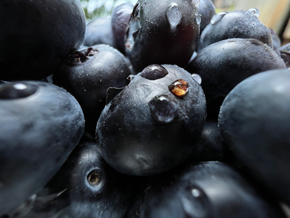 Macro photo of blueberries taken on iPhone 13 Pro’s Ultra Wide camera.