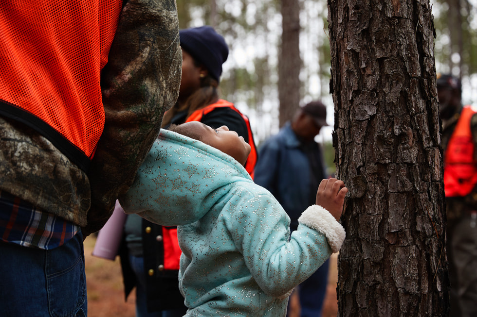 A child looks up at a tree in the forest.