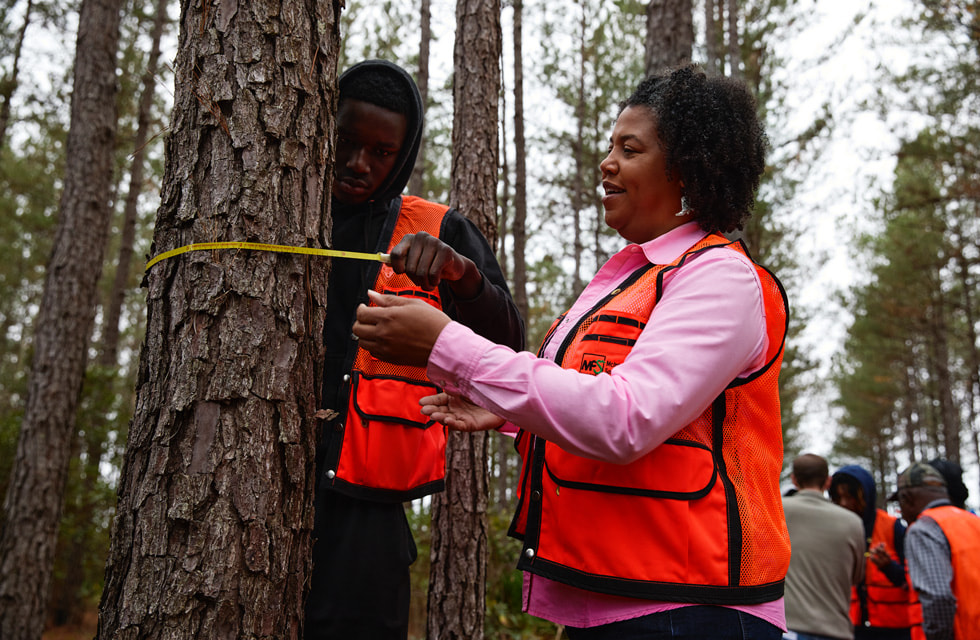 A man and a woman in orange vests wrap measuring tape around a tree trunk in the forest.