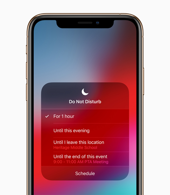 The Do Not Disturb screen available with iOS 12.