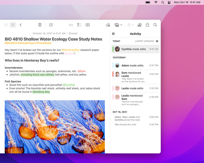 De nieuwe Activiteiten­weergave in de Notities-app van macOS Monterey op een MacBook Air.